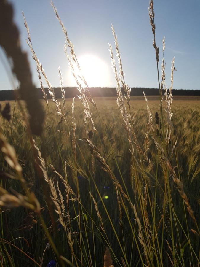Vakantieappartement Achat Duitsland Wirschweiler Eksteriør billede