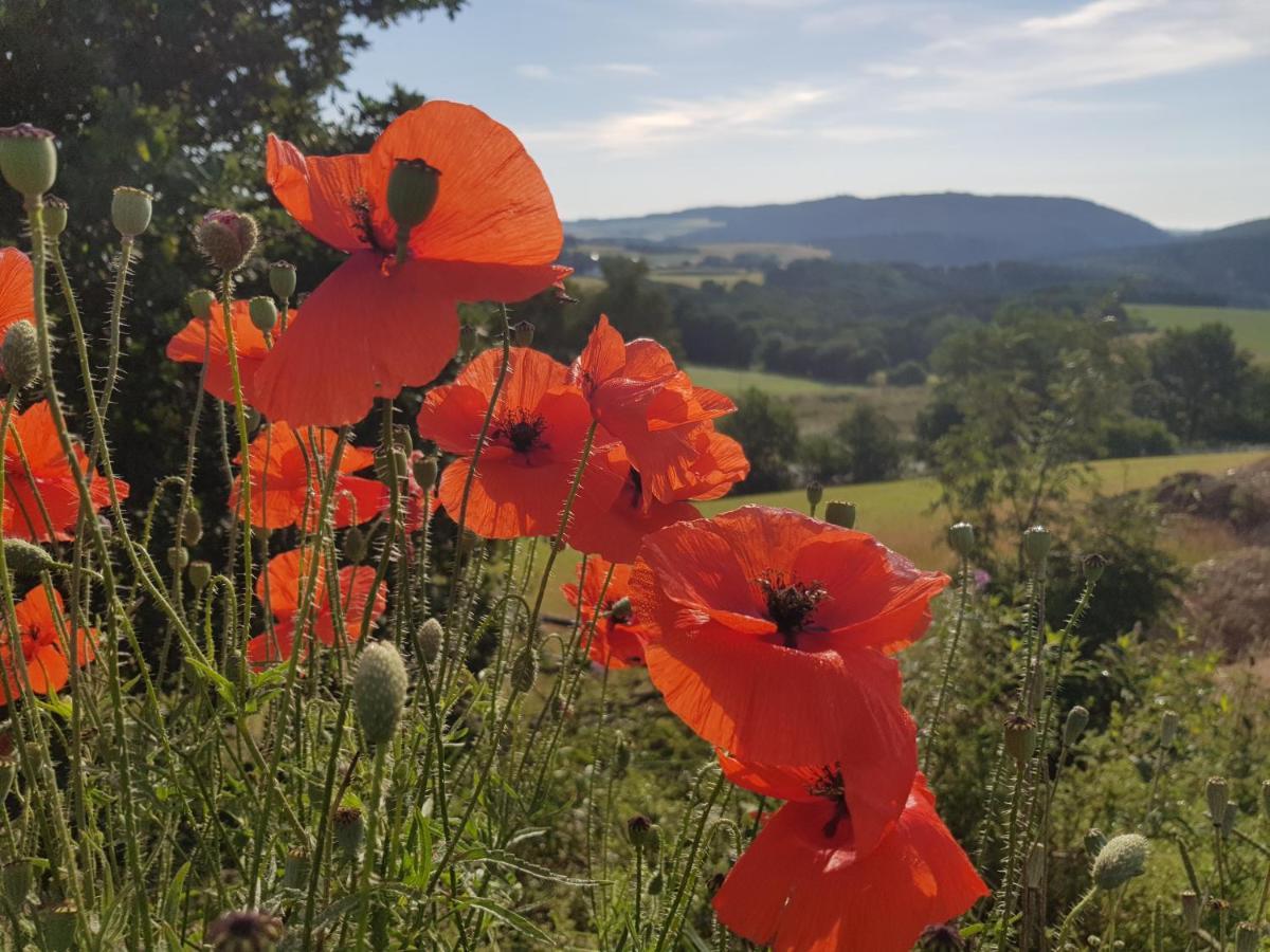 Vakantieappartement Achat Duitsland Wirschweiler Eksteriør billede